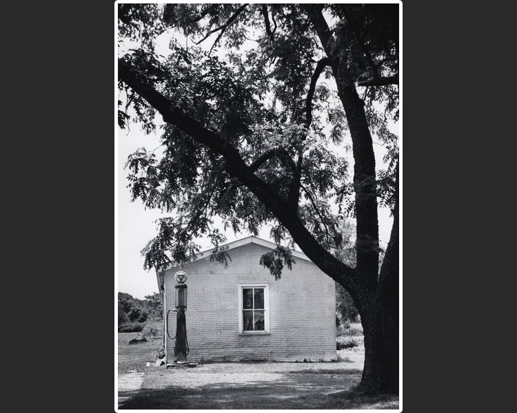 silver gelatin 08
